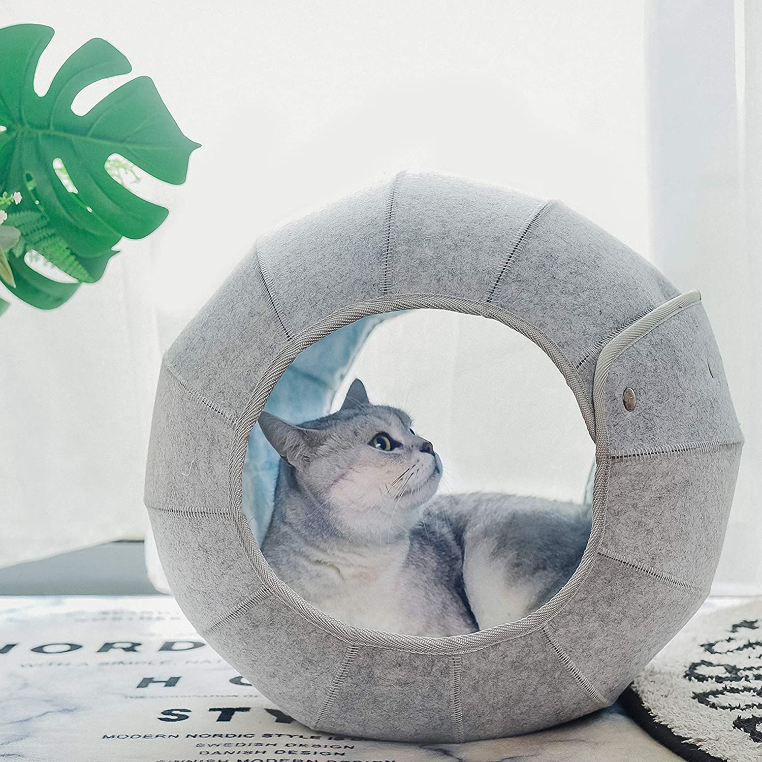 Cama para gatos bola plegable cómoda