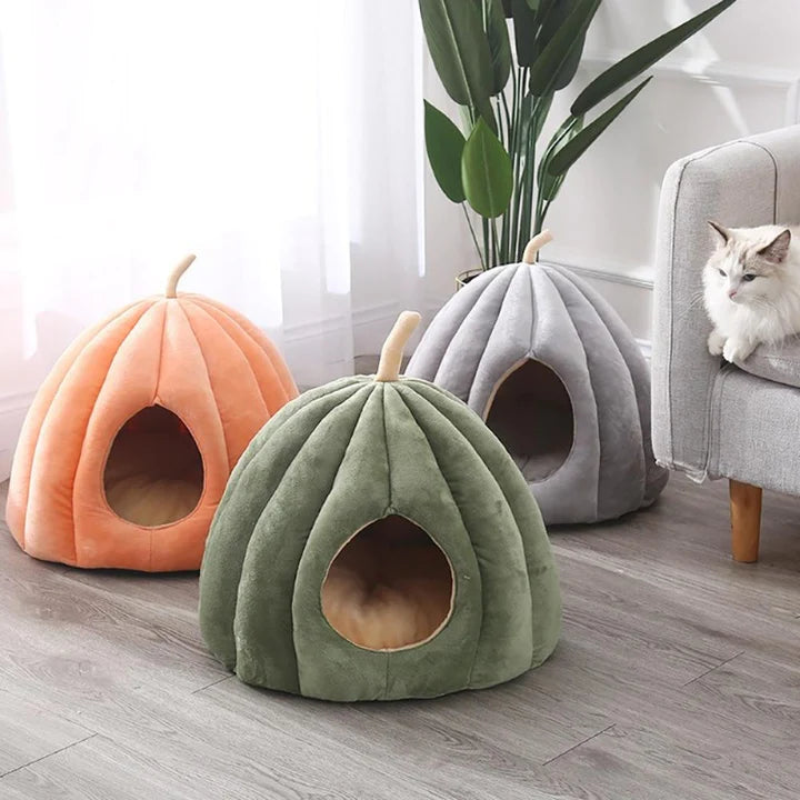 Casa de calabaza para gatos compacta