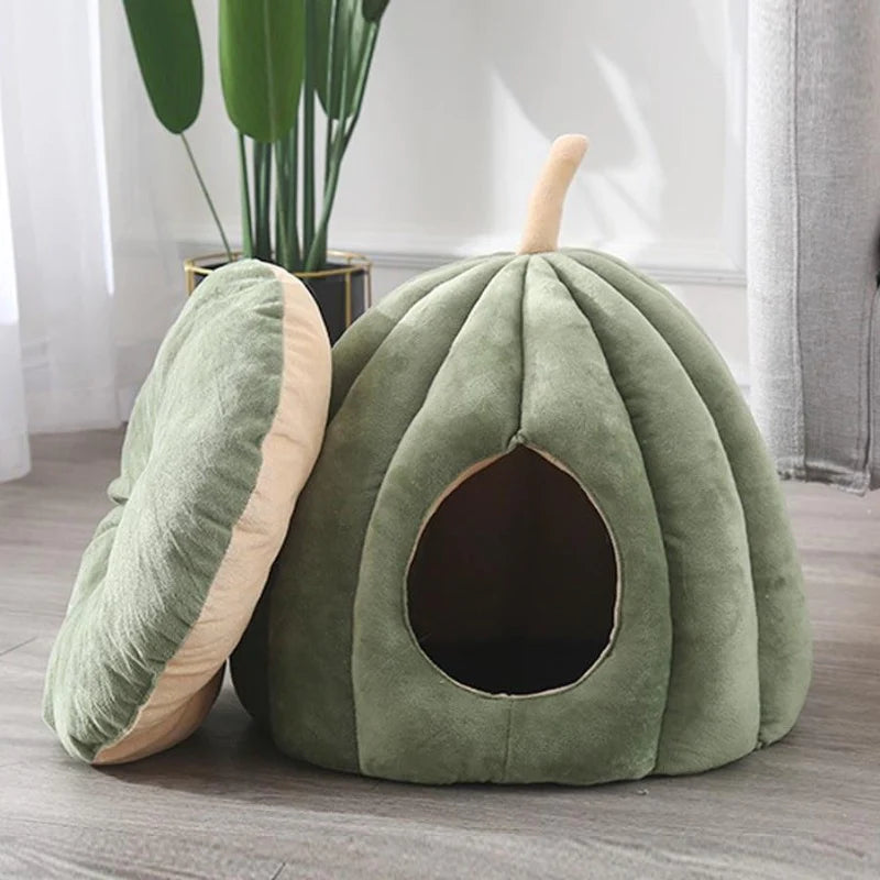 Casa de calabaza para gatos con almohadón