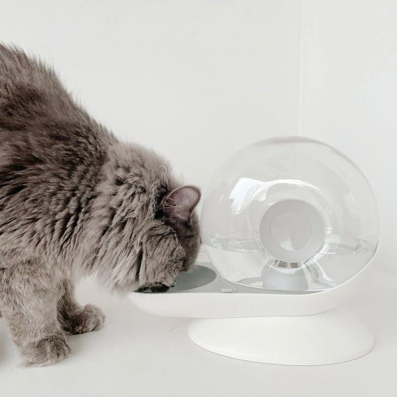 Dispensador de agua automático para gato bonito