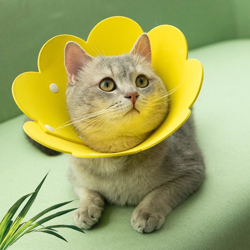 Collar de recuperación de gato con forma de flor bonito