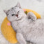 Almohada en forma U para gato cómoda