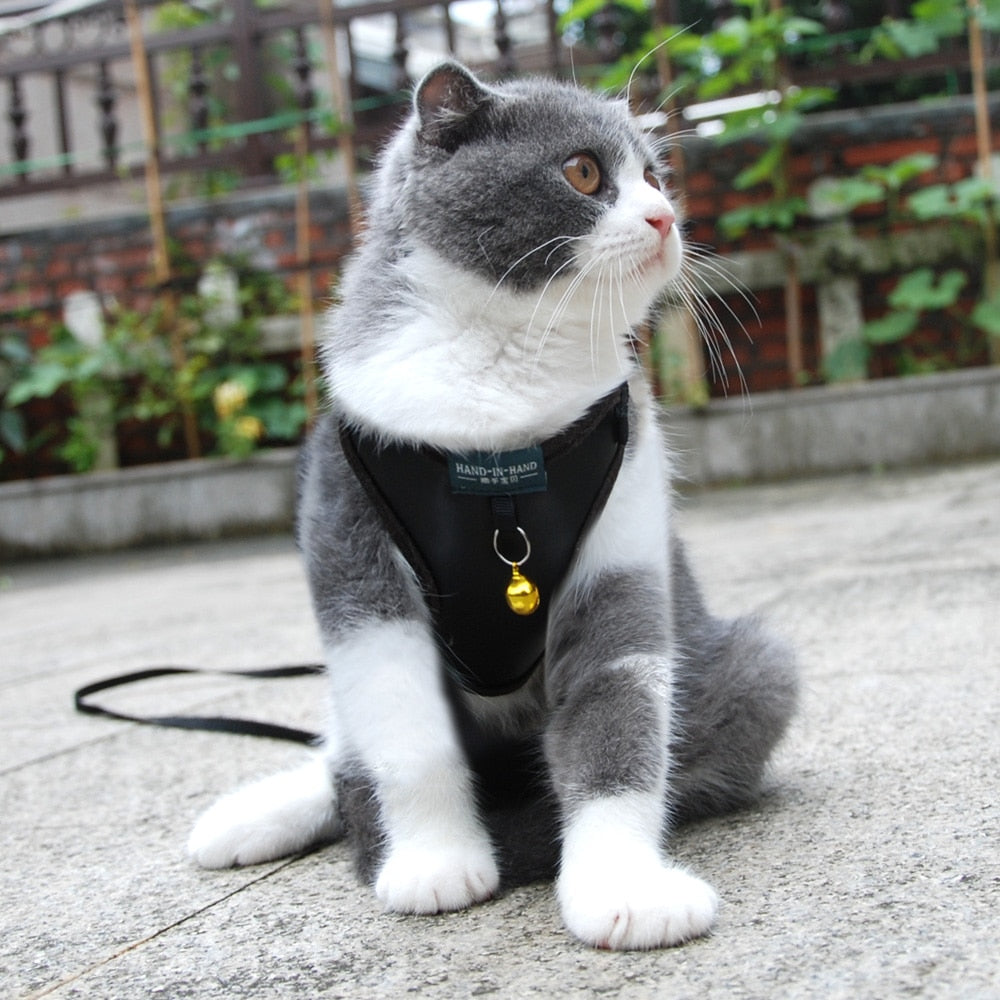 Arnés ajustable para gato con correa conjunto elegante