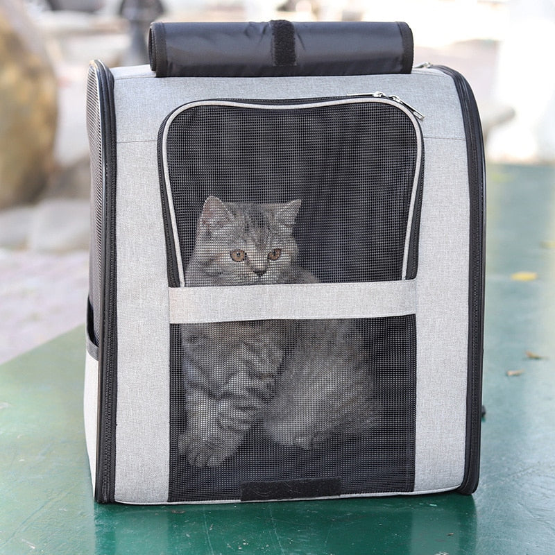Mochila de viaje para gatos segura