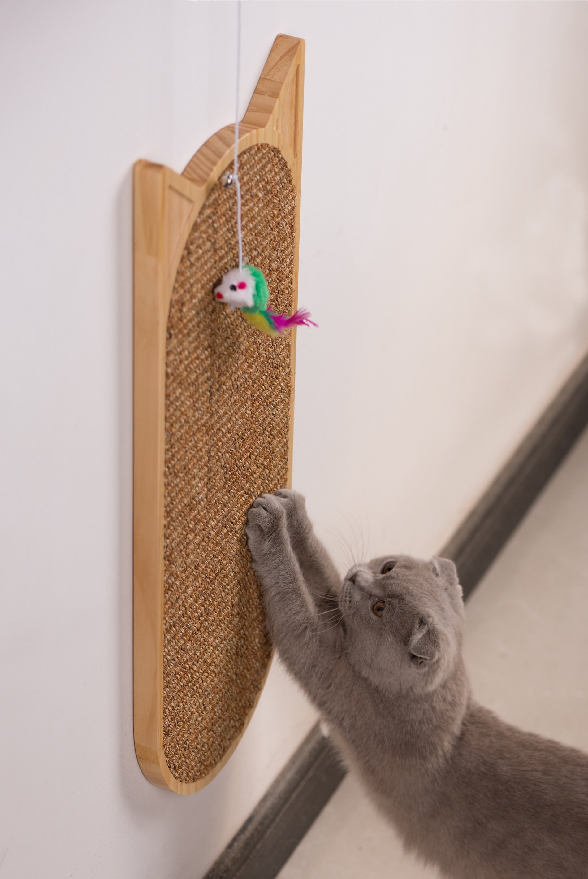 Rascador montado en pared para gatos interactivo