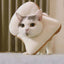 Collar de algodón con formas para gato tostada