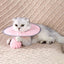 Collar isabelino para recuperación de gato rosa