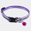 Collar de campana reflectante para gato violeta