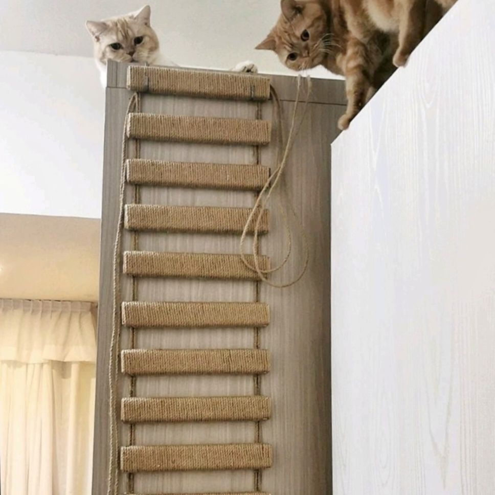 Escalera o puente de cuerda rascador para gatos flexible