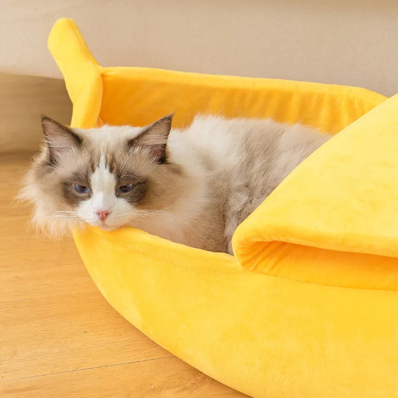 Cama de plátano divertida para gato