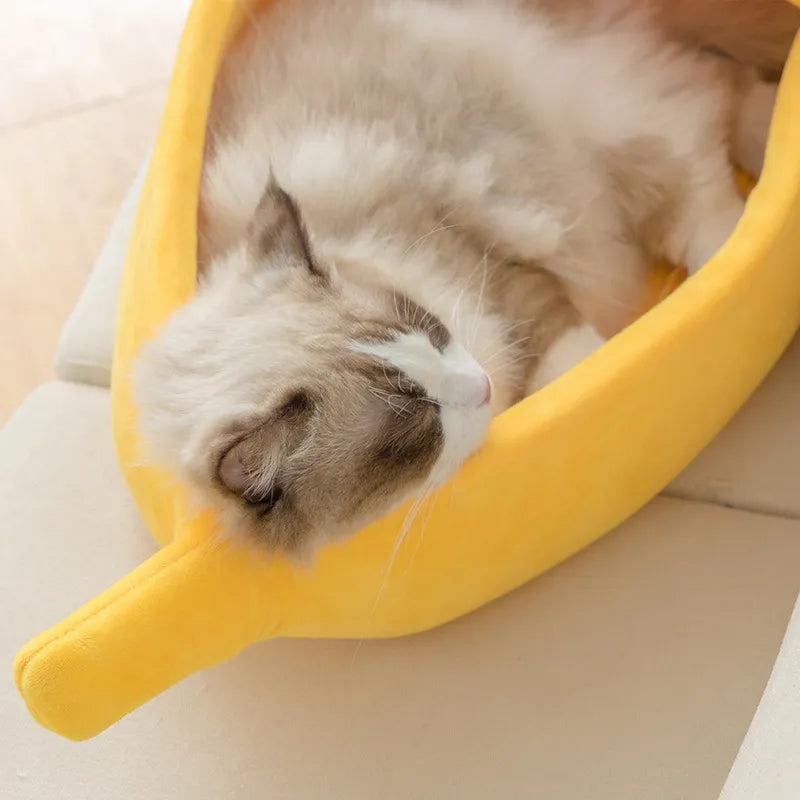 Cama de plátano divertida para gato