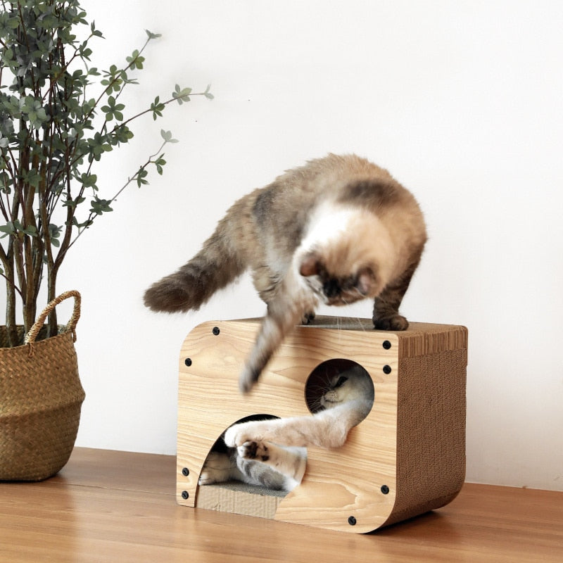 Casa-Tablero rascador para gatos interactiva