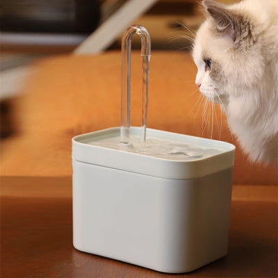Bebedero eléctrico con filtro para gatos blanco