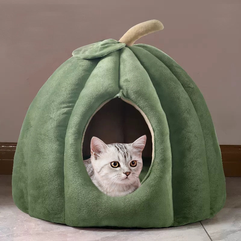 Casa de calabaza para gatos en uso